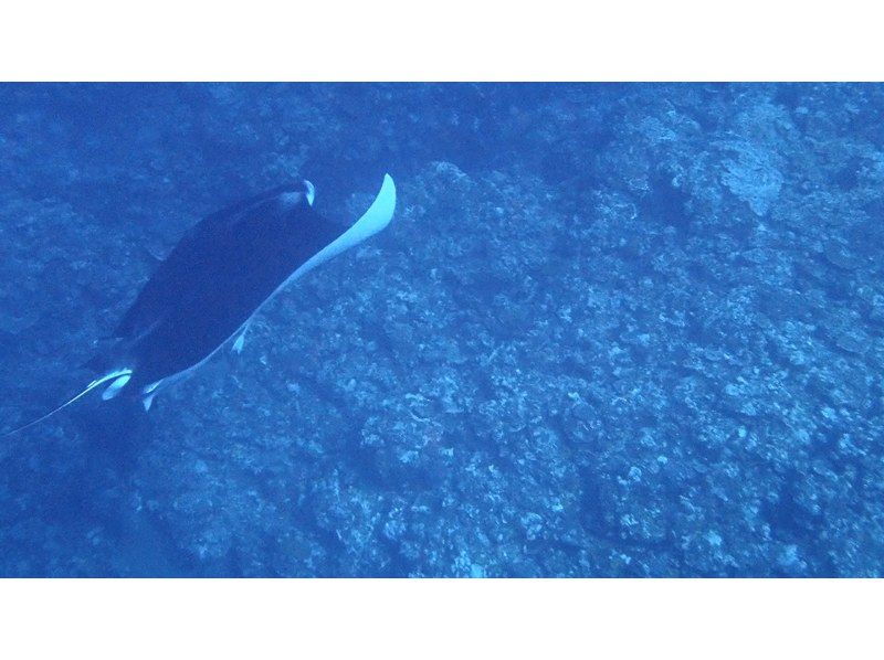 合同会社ラクーアマリンクラブ のギャラリー