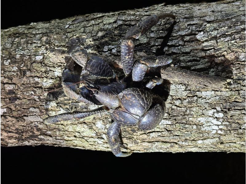 SUNSHINE MARIN 宮古島 のギャラリー