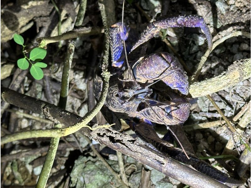 SUNSHINE MARIN 宮古島 のギャラリー