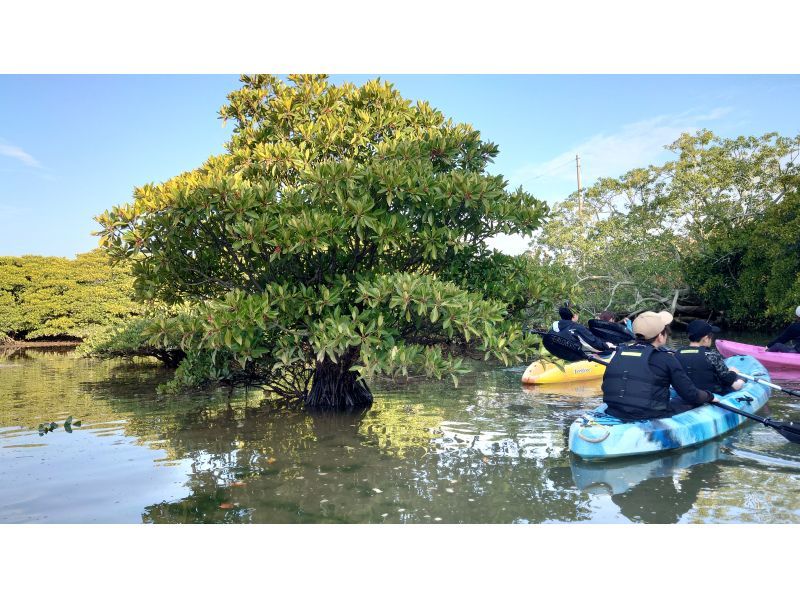 シーラバーズ沖縄 (SEALOVERS OKINAWA) のギャラリー
