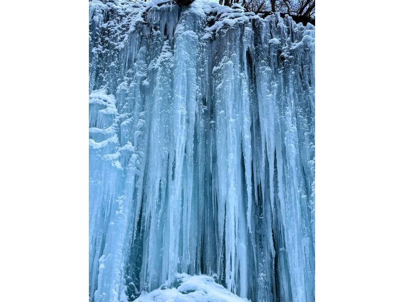 OnePlay-it(ワンプレイト) のギャラリー