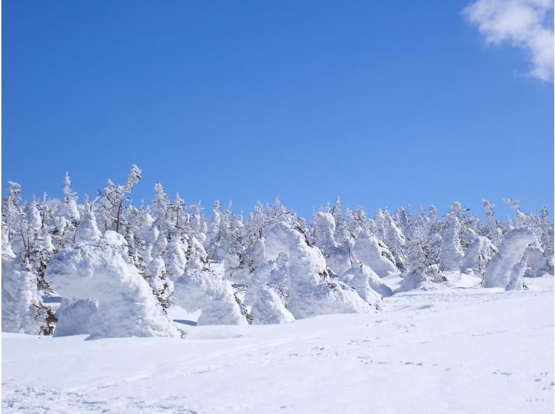 YAMAGATA EXPERIENCE（ヤマガタ エクスペリエンス） のギャラリー