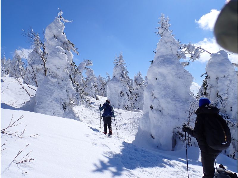 YAMAGATA EXPERIENCE（ヤマガタ エクスペリエンス） のギャラリー