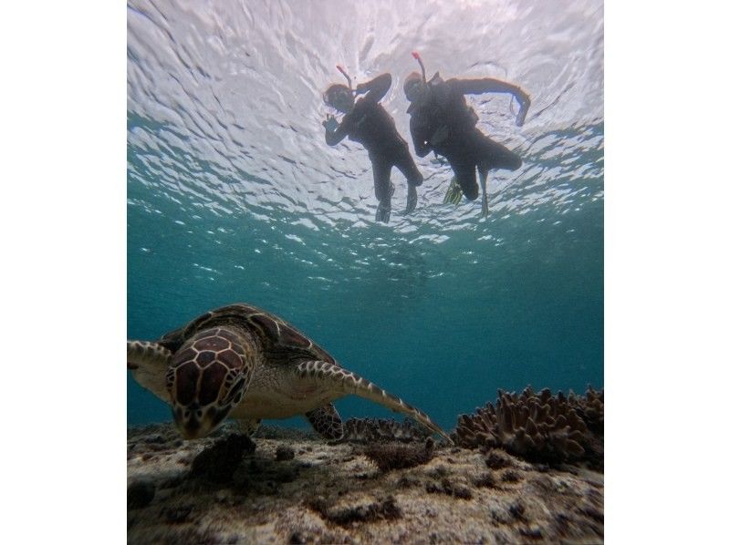 イケメンパラダイス　宮古島 のギャラリー