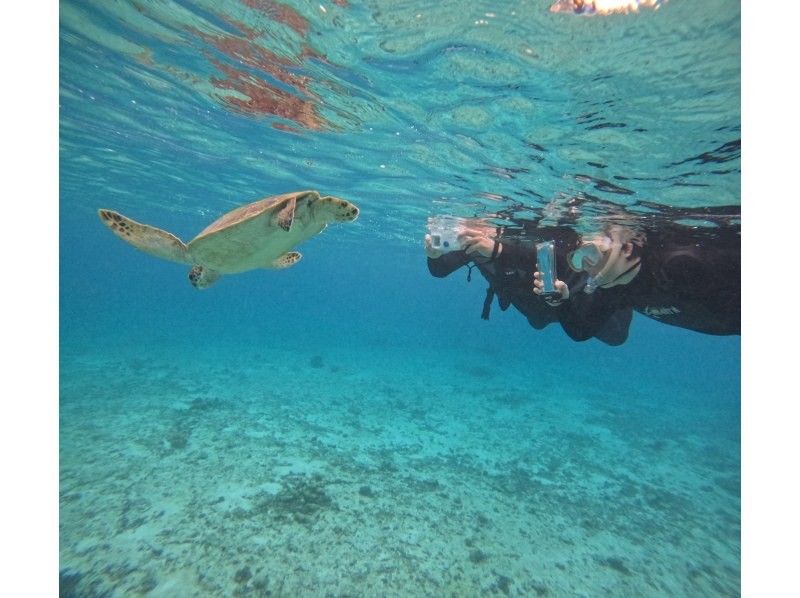 イケメンパラダイス　宮古島 のギャラリー