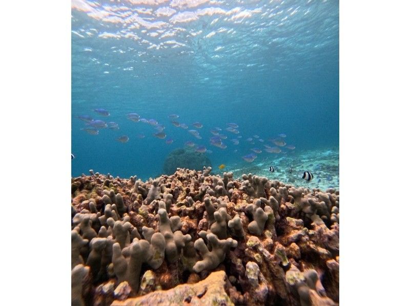 イケメンパラダイス　宮古島 のギャラリー