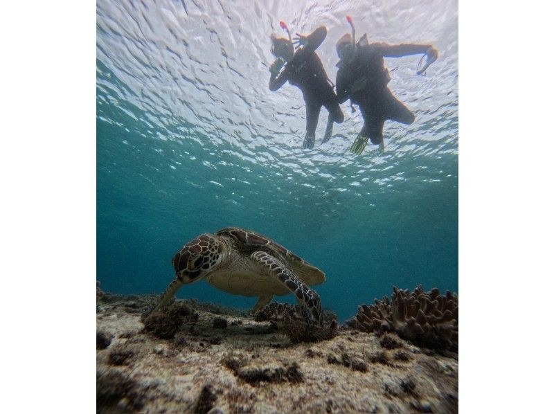 イケメンパラダイス　宮古島 のギャラリー