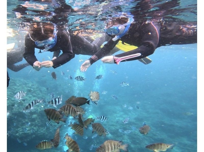 マリンクラブクレア のギャラリー