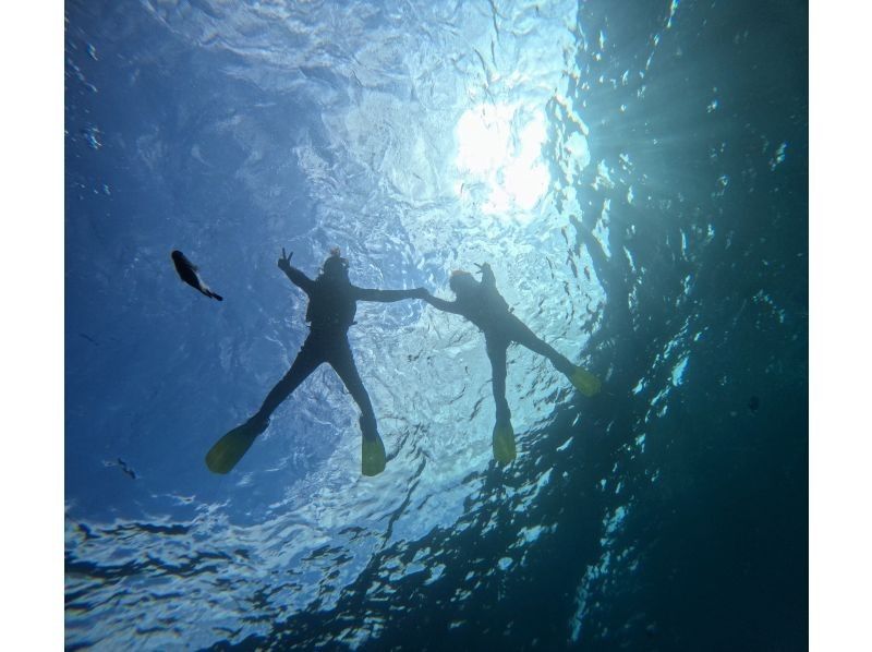 マリンクラブクレア のギャラリー