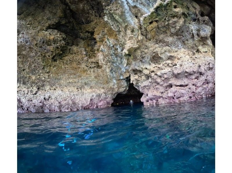 マリンクラブクレア のギャラリー