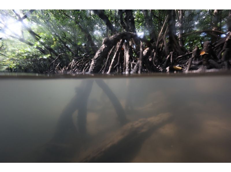 石垣島アクティビティクラブ のギャラリー