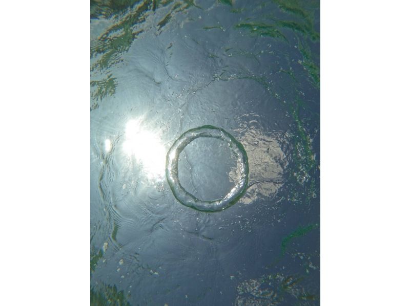 沖縄ダイビングショップシーモール のギャラリー