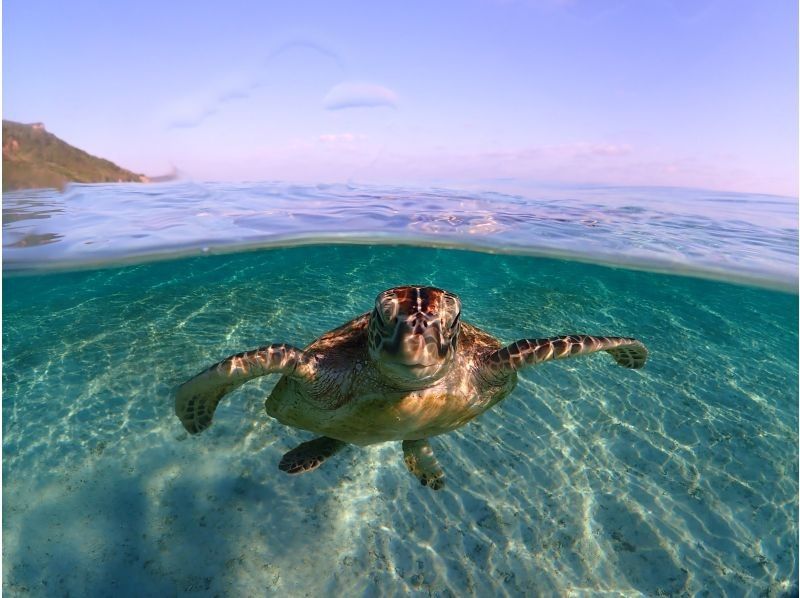 宮古blueまほろば のギャラリー