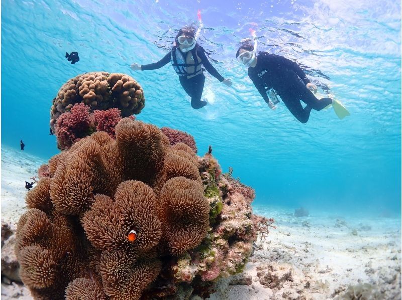 CHAMP TOUR宮古島 のギャラリー