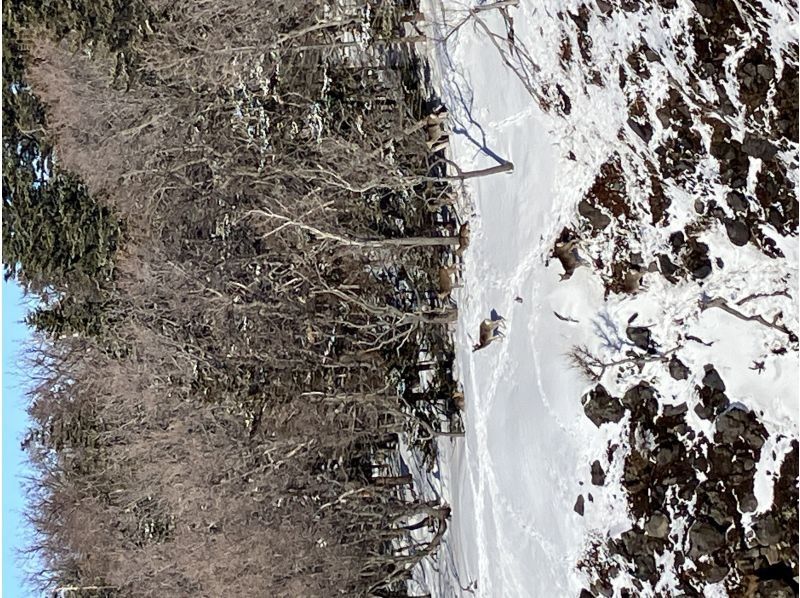 知床ネイチャーガイド星の時間(Starhours) のギャラリー