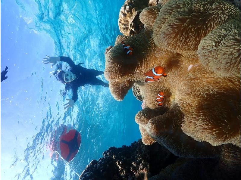 SUNSHINE MARIN 宮古島 のギャラリー