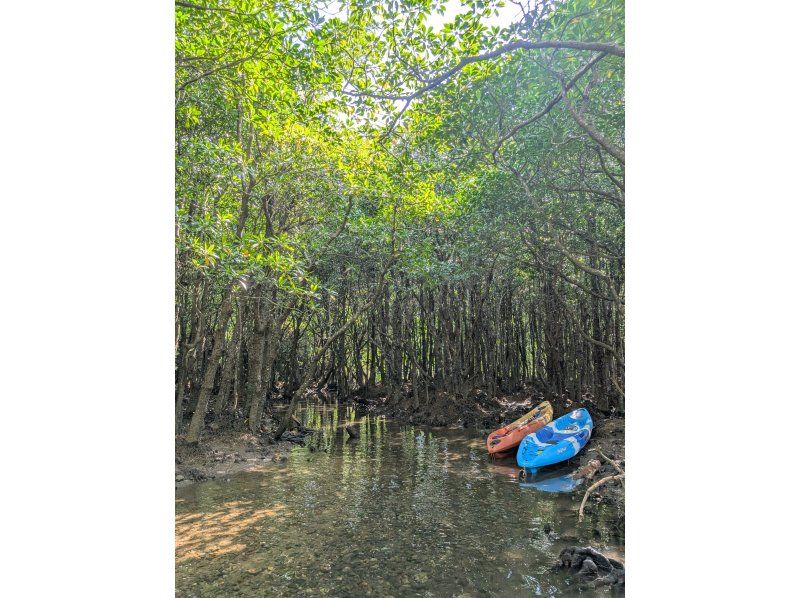 石垣島グランピングリゾートStarOcean のギャラリー