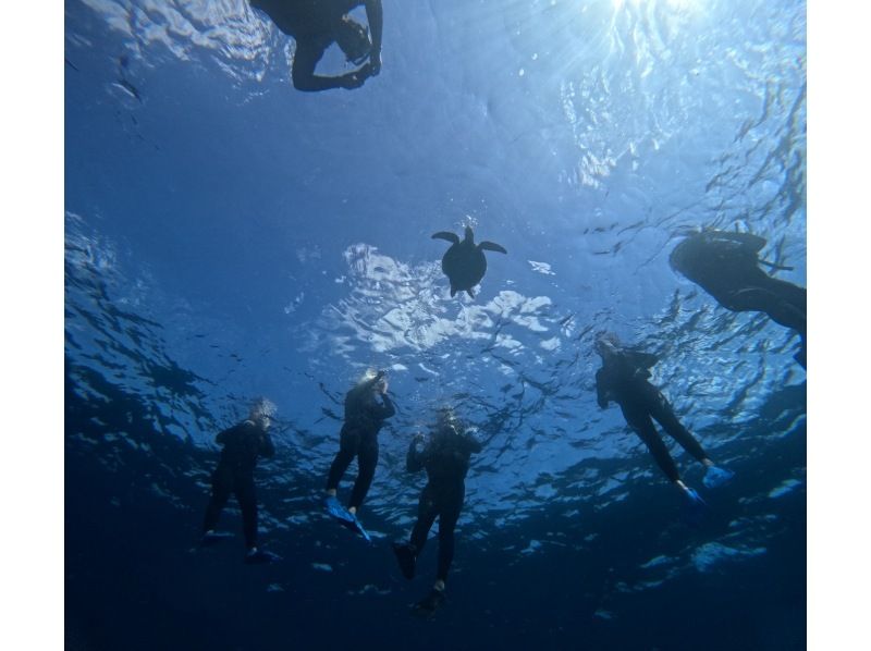 マーレ石垣島 のギャラリー
