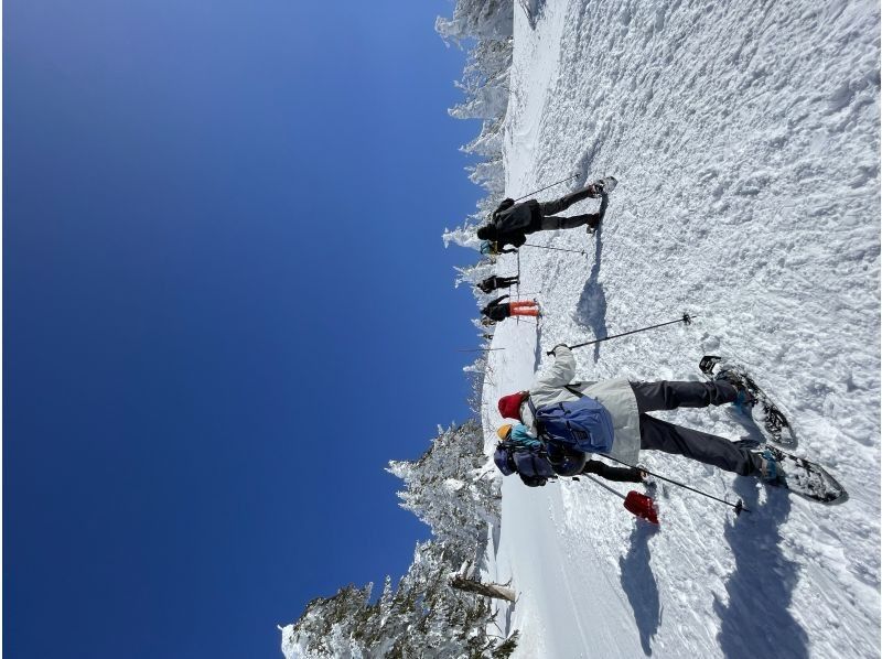 YAMAGATA EXPERIENCE（ヤマガタ エクスペリエンス） のギャラリー