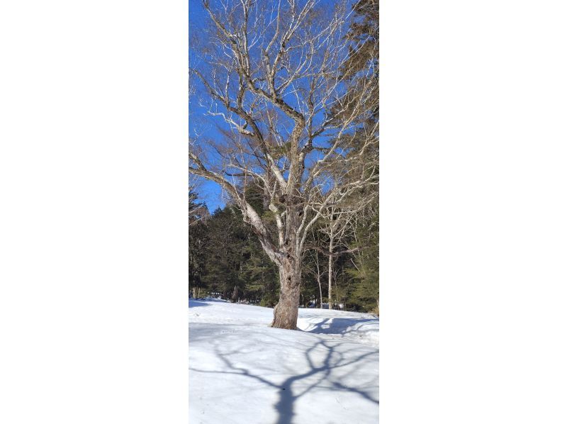 株式会社日光自然博物館 のギャラリー