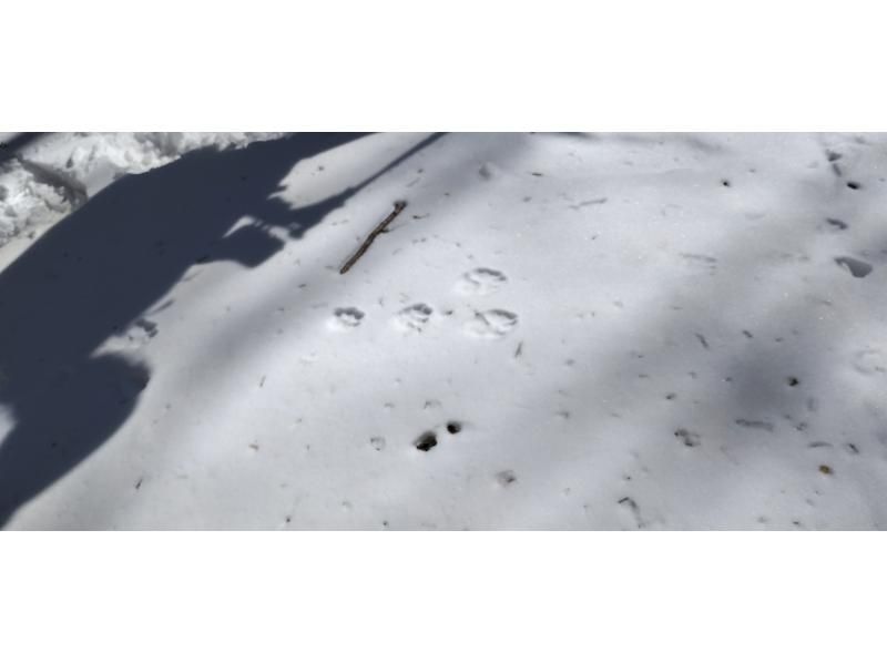 株式会社日光自然博物館 のギャラリー