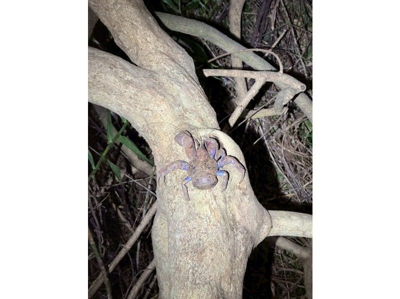 SUNSHINE MARIN 宮古島 のギャラリー