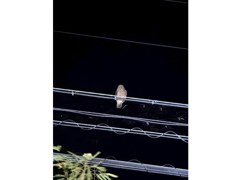 SUNSHINE MARIN 宮古島 のギャラリー