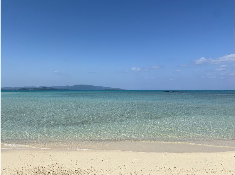 石垣島　ウミガメシュノーケル　マリンショップHAPPY のギャラリー