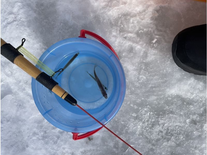 大沼遊船 のギャラリー