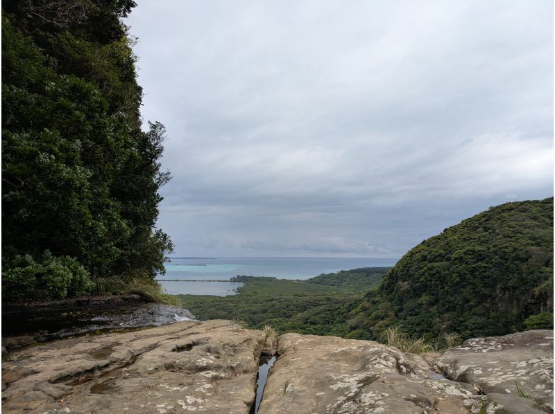 西表島カヌーツアー風車 のギャラリー