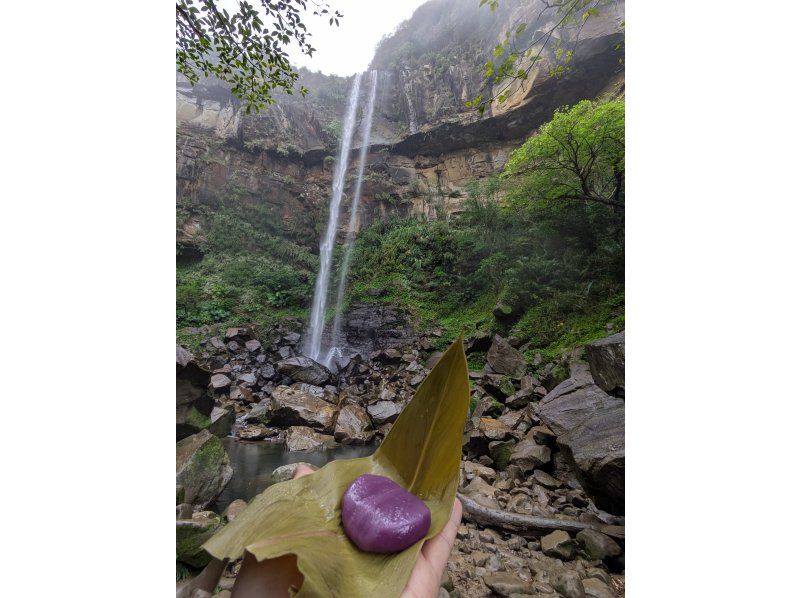 西表島カヌーツアー風車 のギャラリー