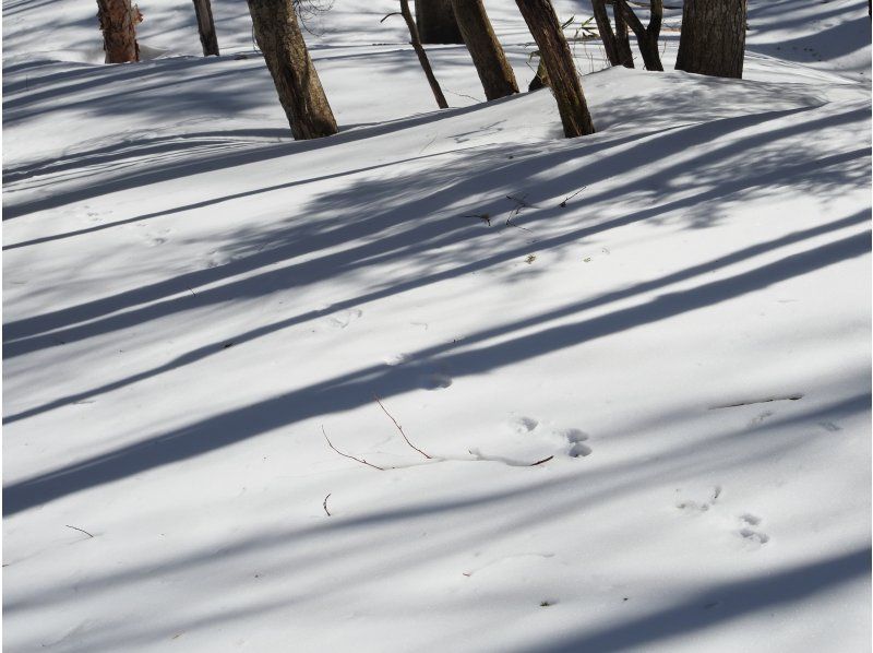 株式会社日光自然博物館 のギャラリー