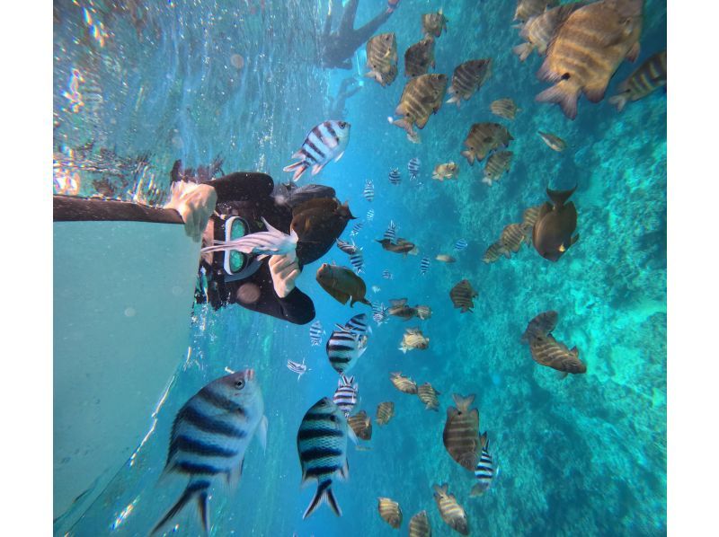 CHILL DIVE （チルダイブ） のギャラリー