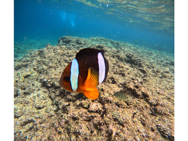 CHILL DIVE （チルダイブ） のギャラリー