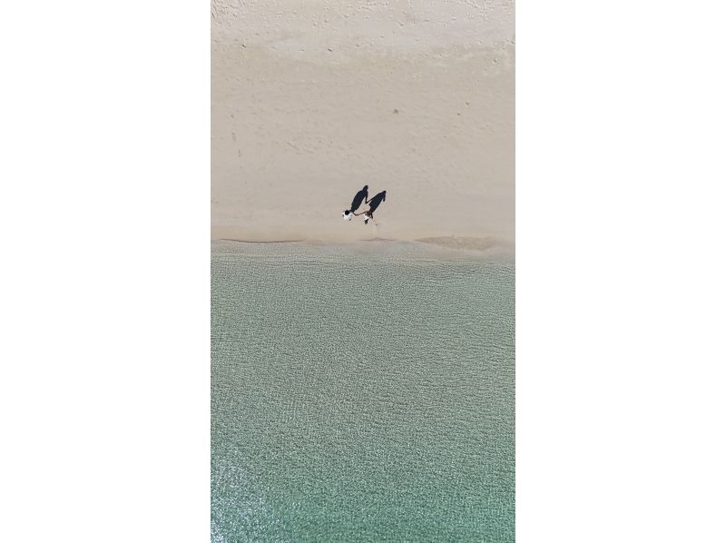 宮古島マリンショップSmiley のギャラリー