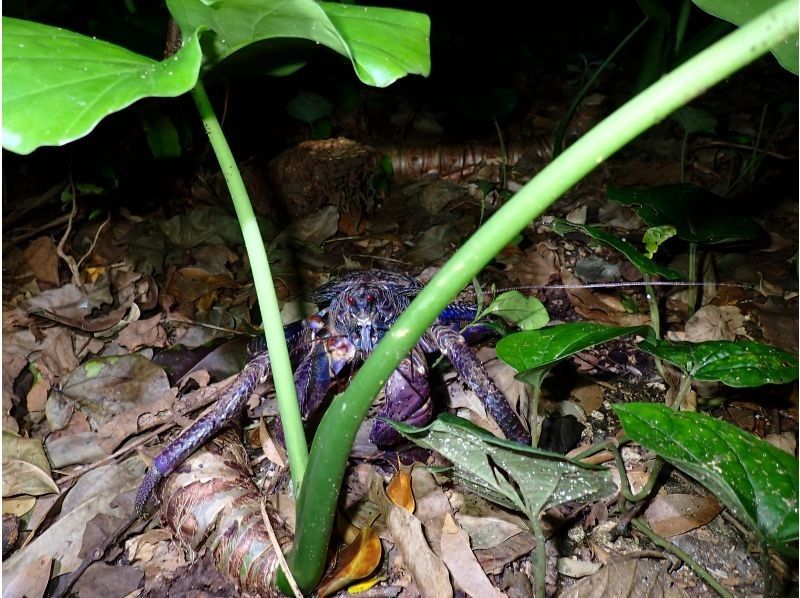宮古島マリンショップSmiley のギャラリー