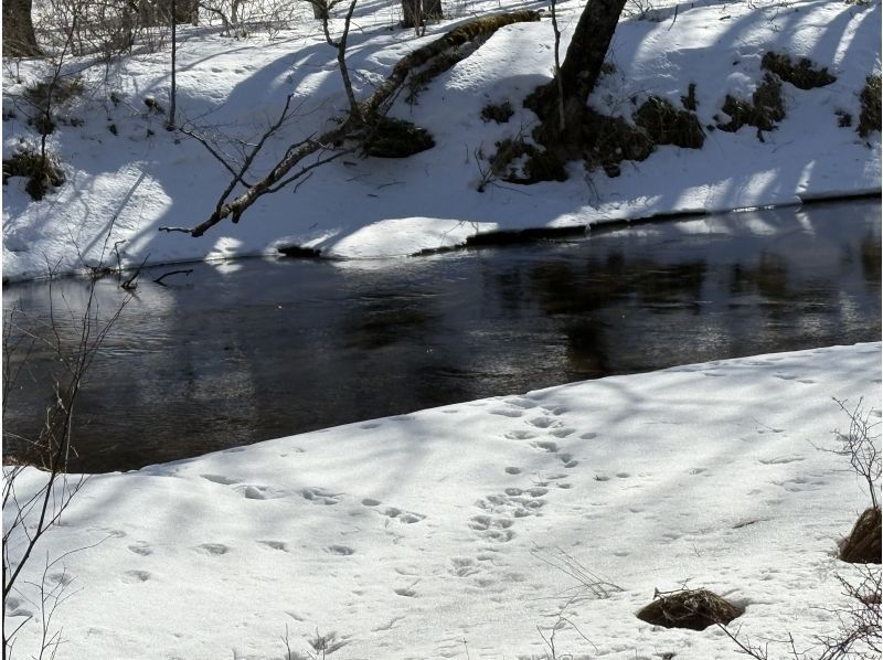 株式会社日光自然博物館 のギャラリー