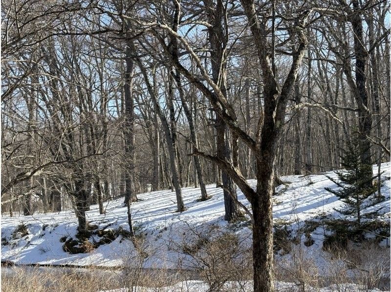 株式会社日光自然博物館 のギャラリー
