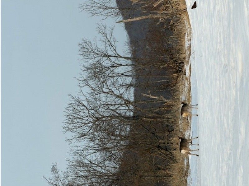 オールドプレイス のギャラリー