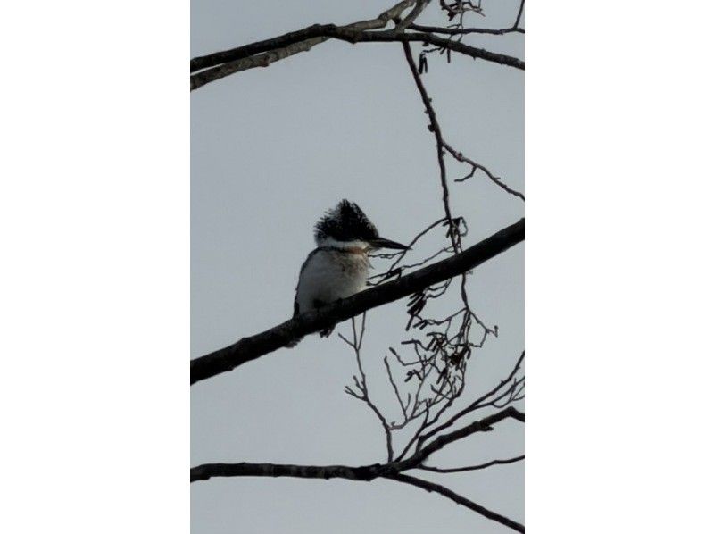 オールドプレイス のギャラリー