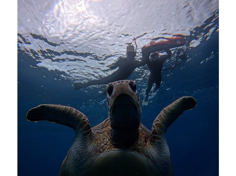 Tomorl のギャラリー