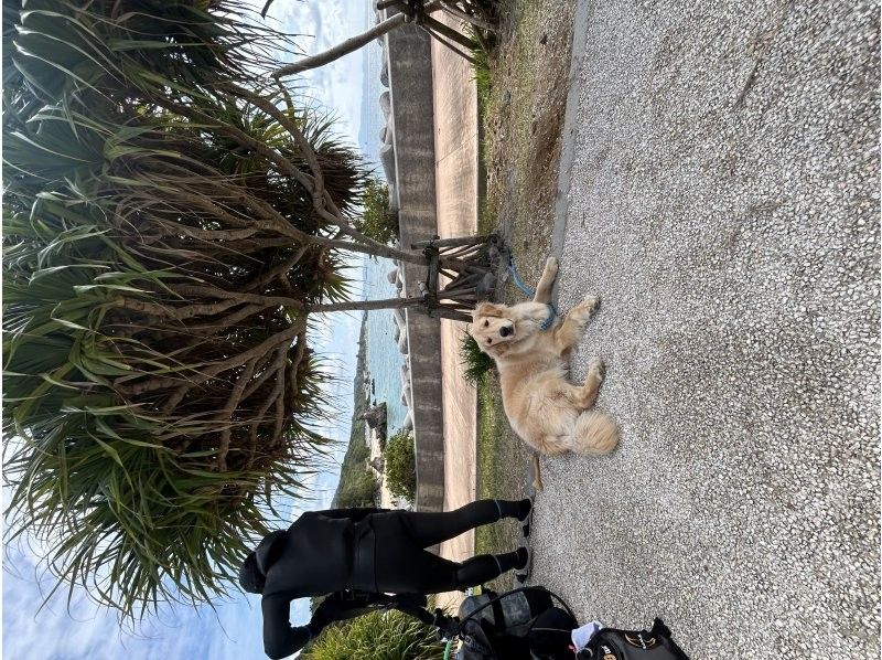 沖縄マリンサービスTI.OCEAN のギャラリー