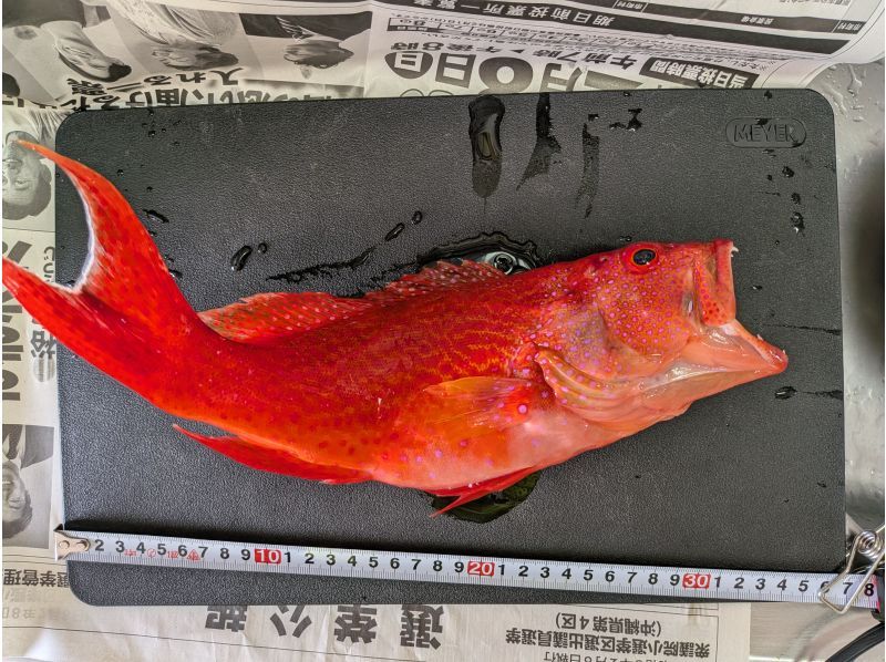 第一航淸丸 のギャラリー