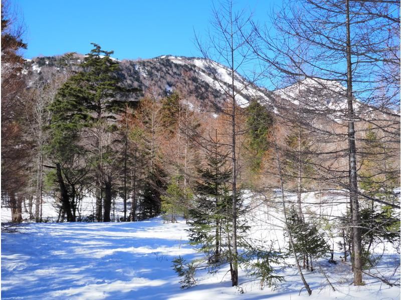 株式会社日光自然博物館 のギャラリー