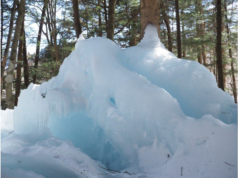 株式会社日光自然博物館 のギャラリー