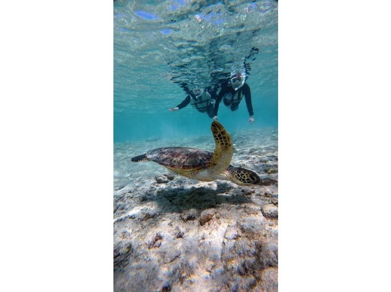 nico 宮古島 のギャラリー