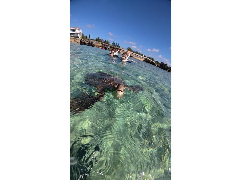 nico 宮古島 のギャラリー