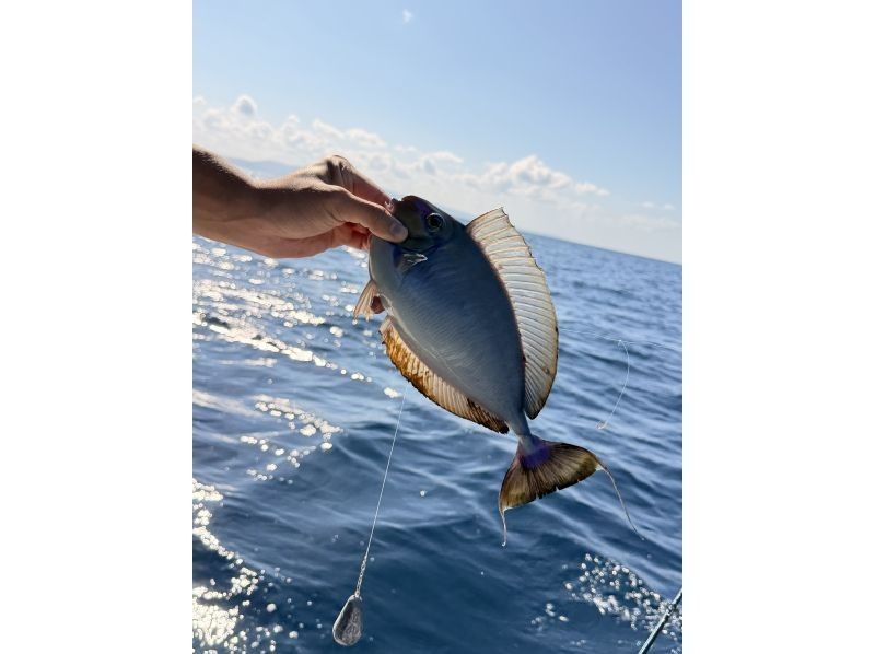 Fishing Boat Ren のギャラリー