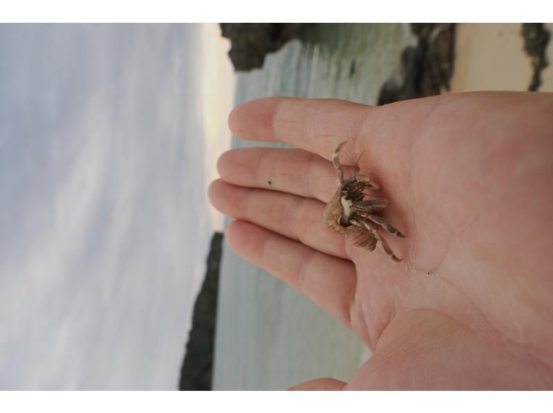 沖縄ネイチャーコーディネート・アンダゴ のギャラリー