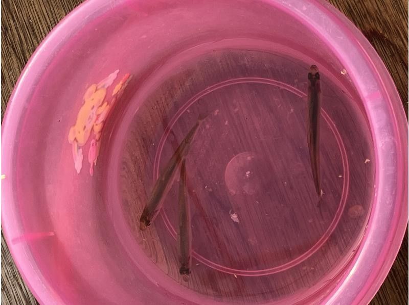 匠・TAKUMI工房 のギャラリー